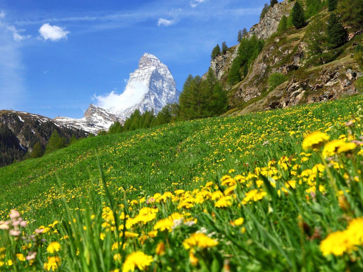 Apartment Papillon By Interhome Zermatt Exterior foto